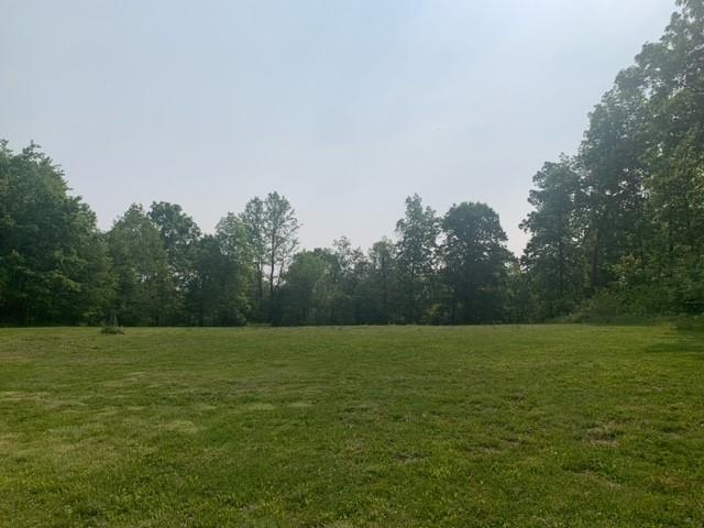 73 Carpenter Road Creekside, PA 15732 - Photo 1 of 15 a view of a field with trees in background