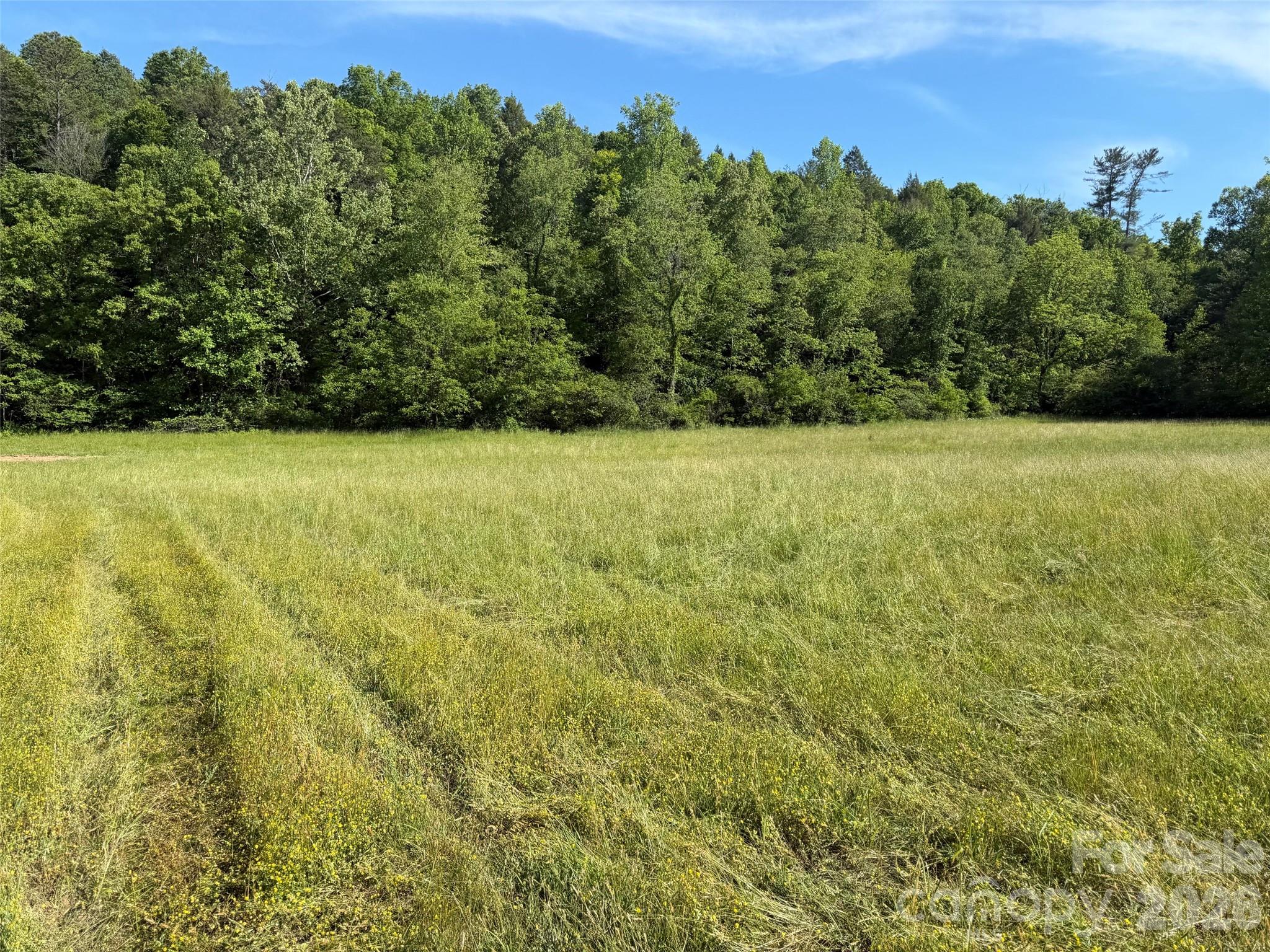 Lot 12 Parker Padgett Road Old Fort, NC 28762 - Photo 2 of 2