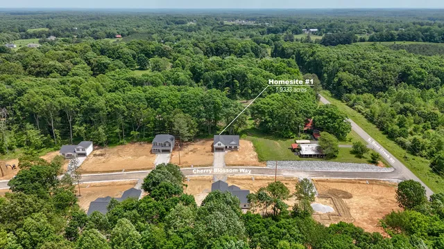 an aerial view of a house with outdoor space