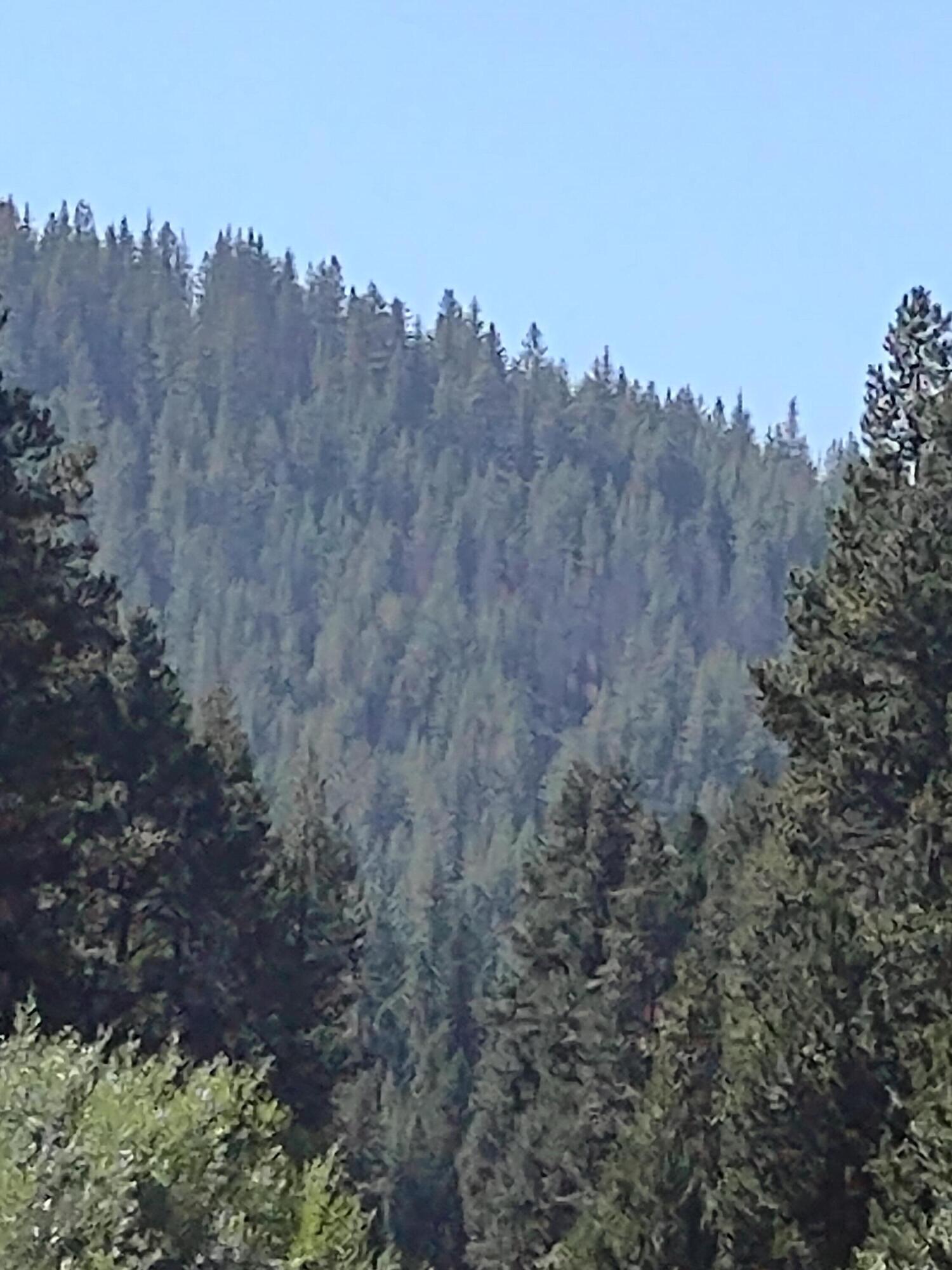 16836 Hermosa Road Bend, OR 97707 - Photo 5 of 23 IMG_20210827_151512357