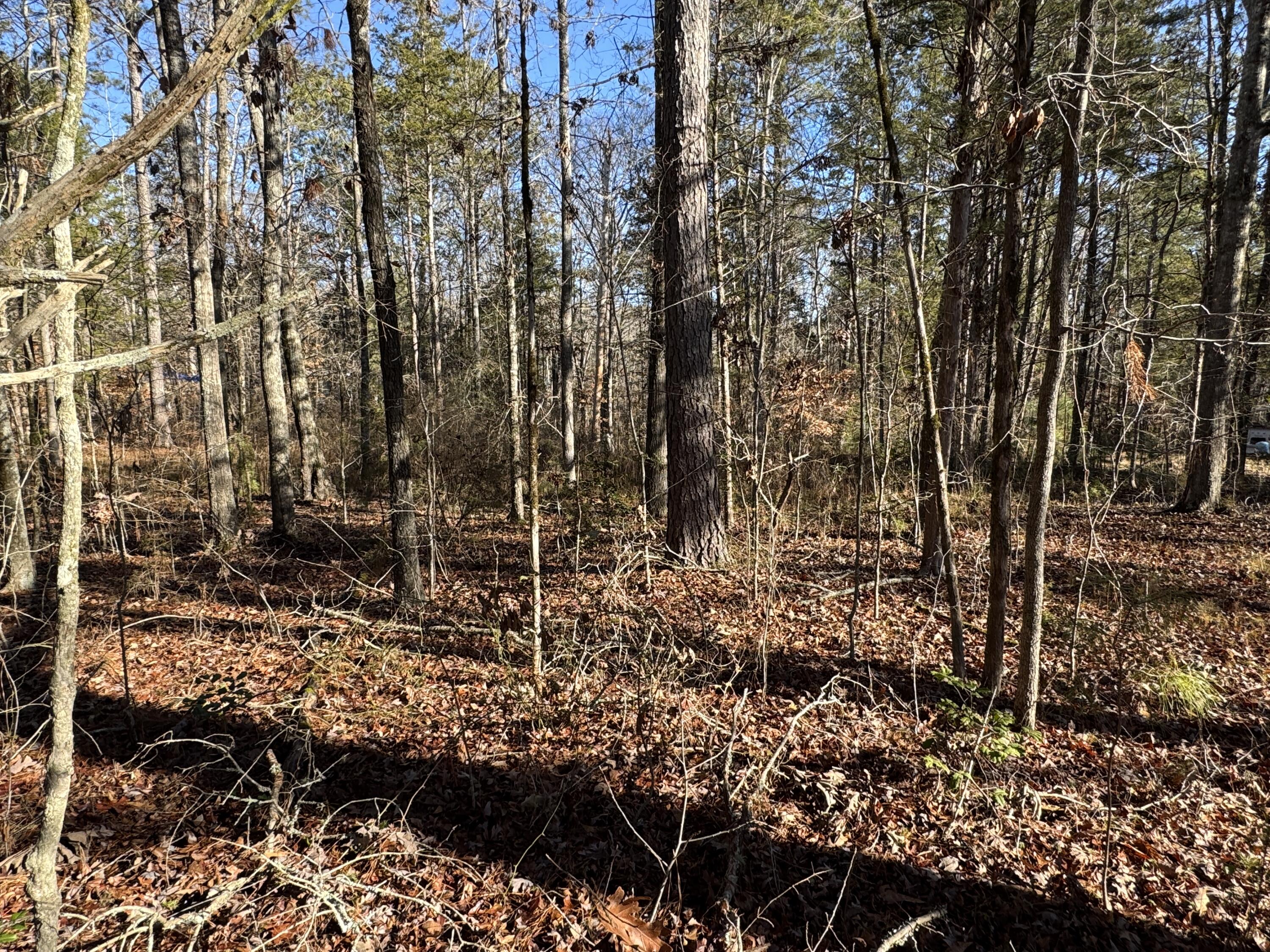 33 Lone Eagle Way Iva, SC 29655 - Photo 2 of 9 IMG_3573