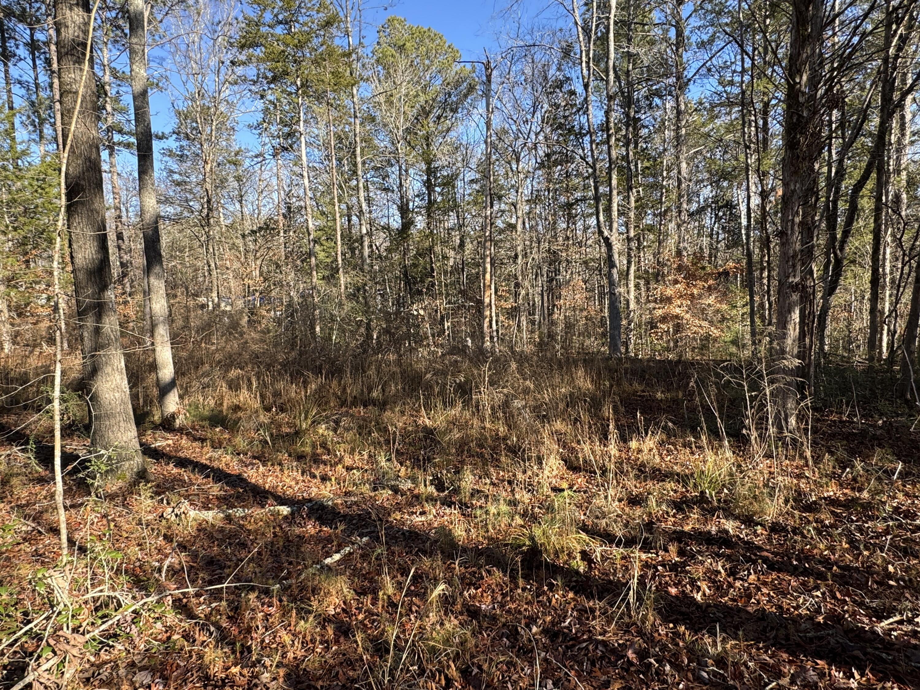 33 Lone Eagle Way Iva, SC 29655 - Photo 3 of 9 IMG_3574