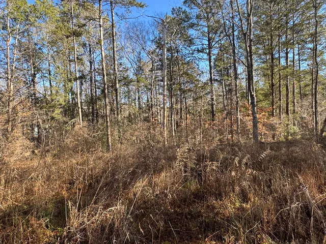 $35,000 | 33 Lone Eagle Way, Iva, SC 29655