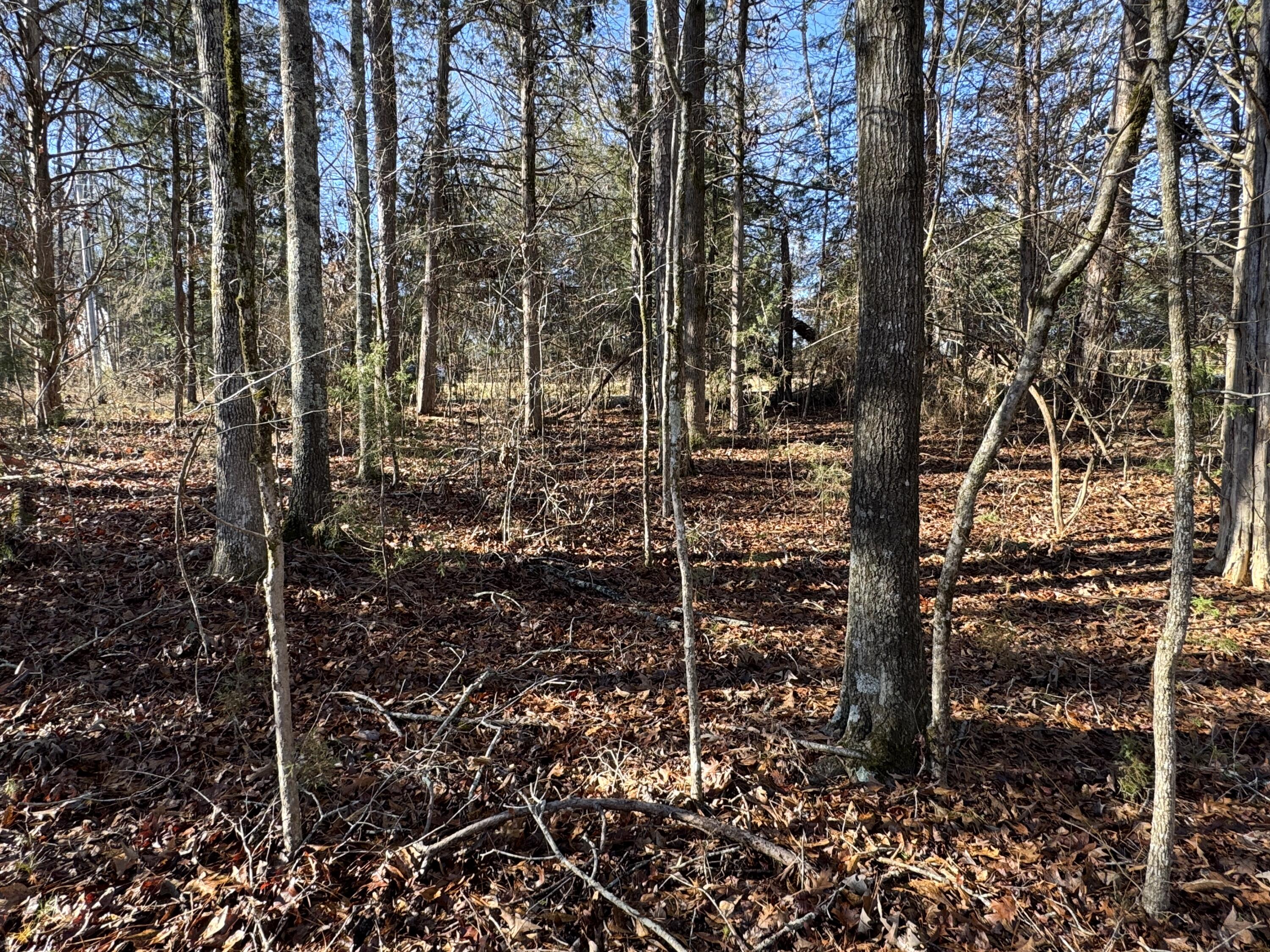 33 Lone Eagle Way Iva, SC 29655 - Photo 5 of 9 IMG_3576