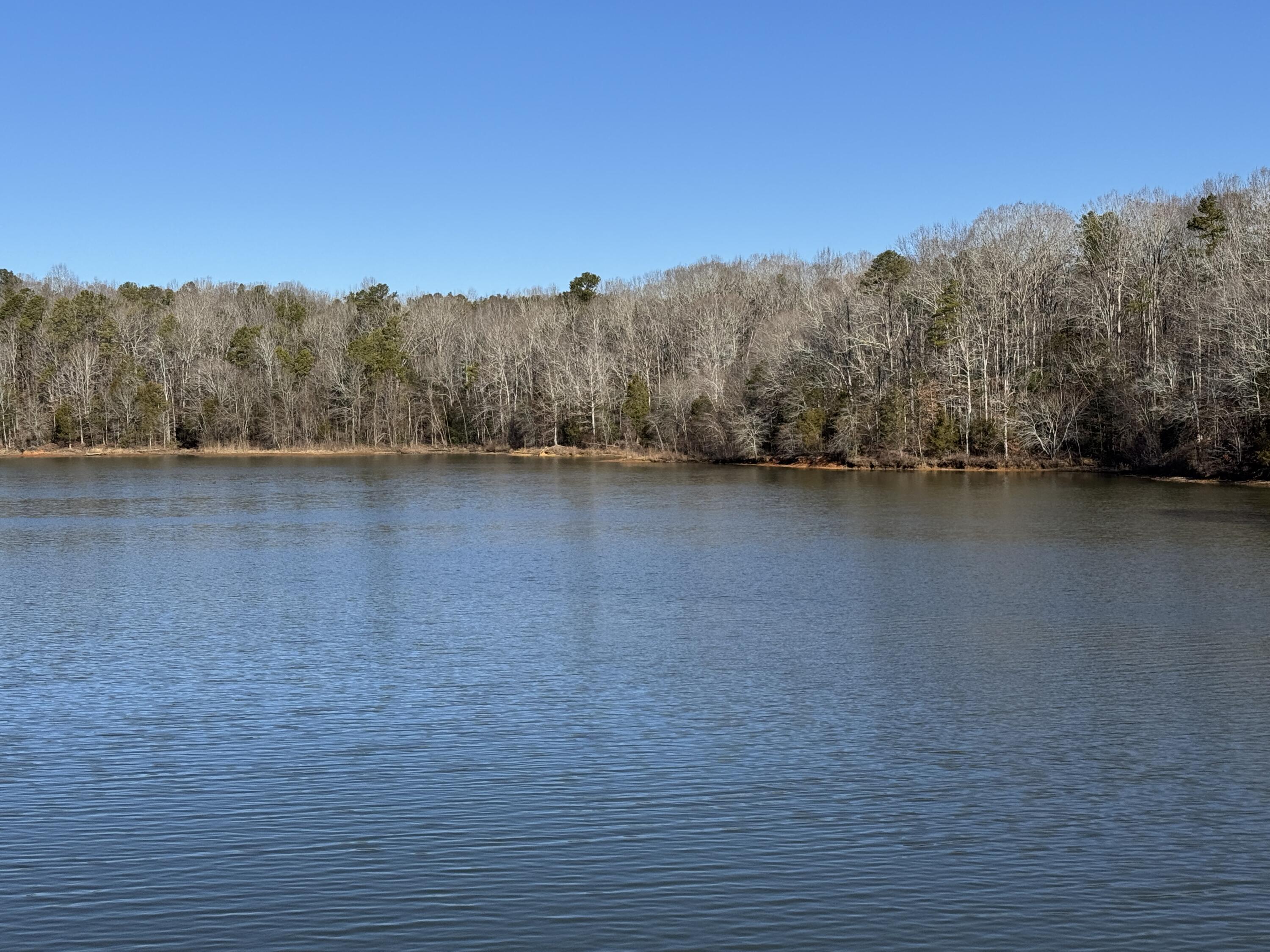 33 Lone Eagle Way Iva, SC 29655 - Photo 7 of 9 IMG_3579