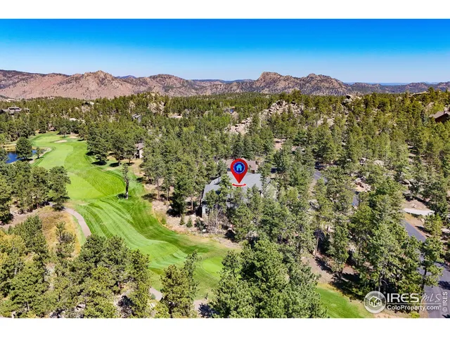 a view of a lush green hillside and a mountain