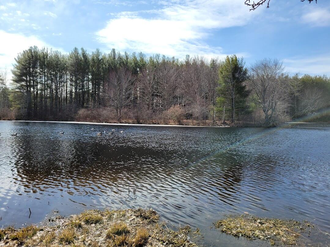 0 Hay Brook Road Alfred, ME 04002 - Photo 12 of 19 20220328_111433