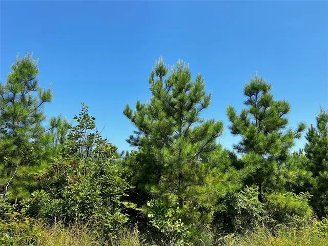 $168,200 | 5 West Carters Ferry Road, Milam, TX 75959