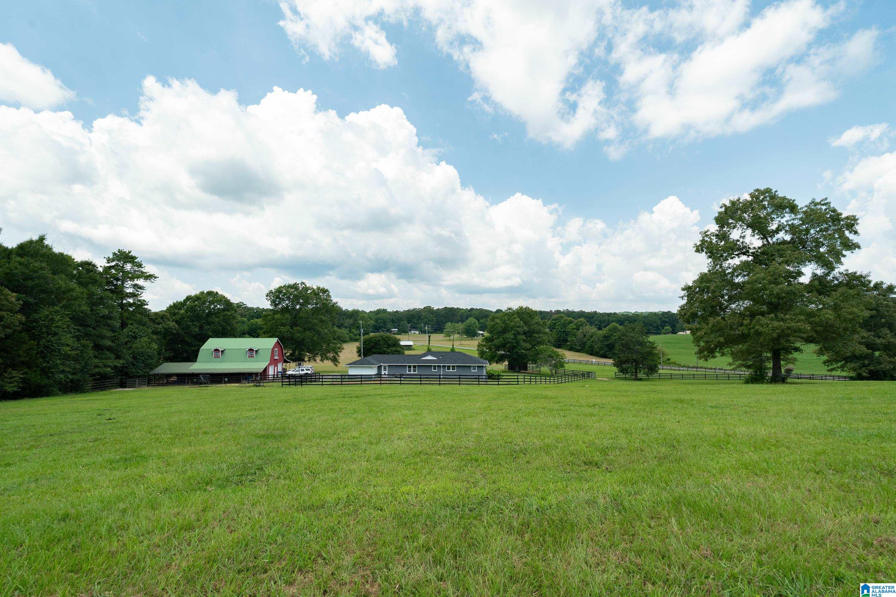 2304 Driving Range Road Cropwell, AL 35054 - Photo 50 of 59