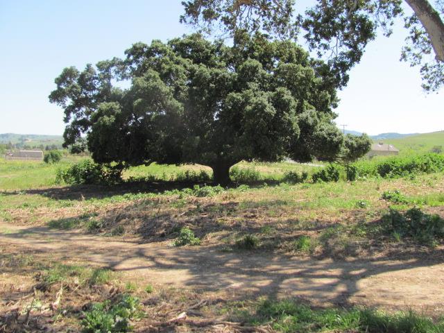 0 Riverside Road Hollister, CA 95023 - Photo 1 of 21 Gallery Image 1