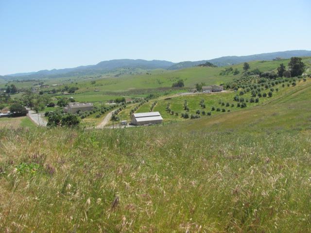 0 Riverside Road Hollister, CA 95023 - Photo 11 of 21 Gallery Image 11