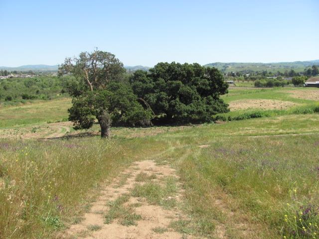 0 Riverside Road Hollister, CA 95023 - Photo 15 of 21 Gallery Image 15