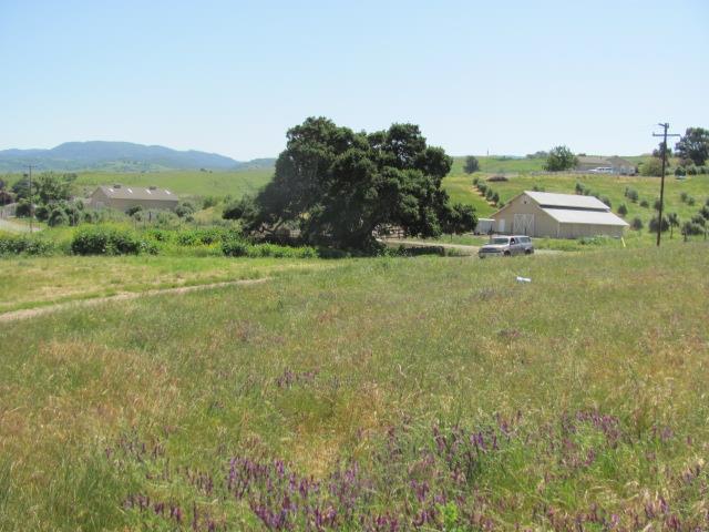 0 Riverside Road Hollister, CA 95023 - Photo 17 of 21 Gallery Image 17