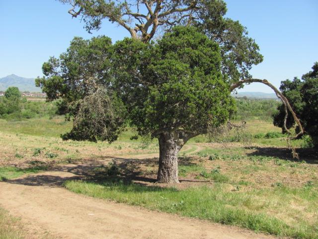 0 Riverside Road Hollister, CA 95023 - Photo 18 of 21 Gallery Image 18