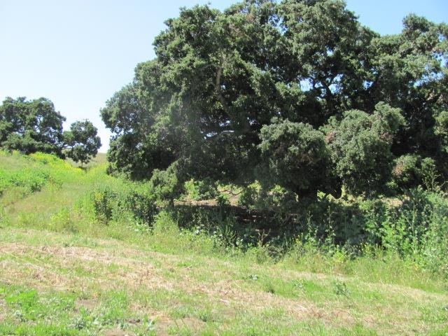 0 Riverside Road Hollister, CA 95023 - Photo 19 of 21 Gallery Image 19