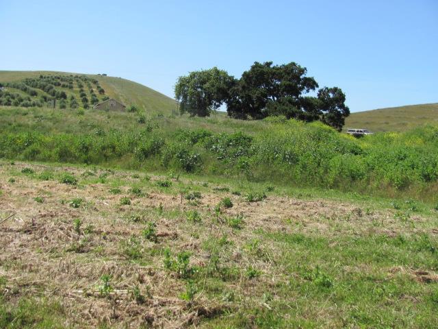 0 Riverside Road Hollister, CA 95023 - Photo 20 of 21 Gallery Image 20