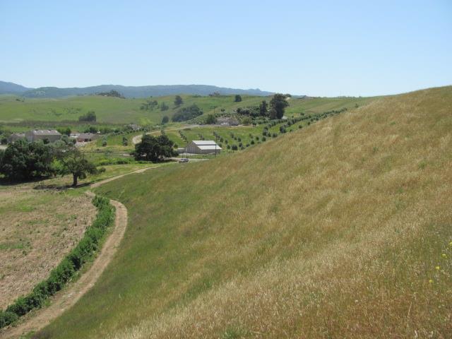 0 Riverside Road Hollister, CA 95023 - Photo 4 of 21 Gallery Image 4