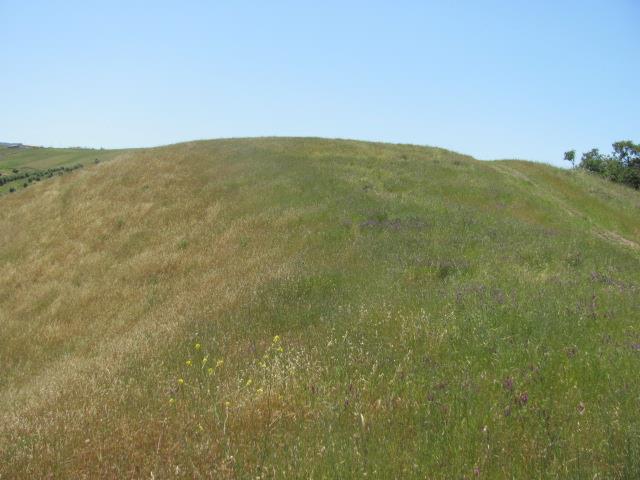 0 Riverside Road Hollister, CA 95023 - Photo 5 of 21 Gallery Image 5