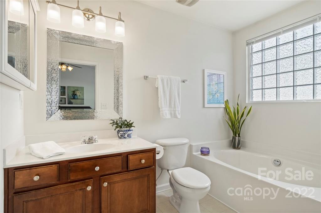 7383 Laurel Valley Road Charlotte, NC 28273 - Photo 19 of 37 a bathroom with a sink a toilet and a bathtub