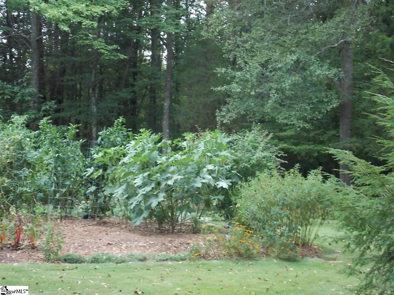 283 Bowen Road Easley, SC 29640 - Photo 23 of 26