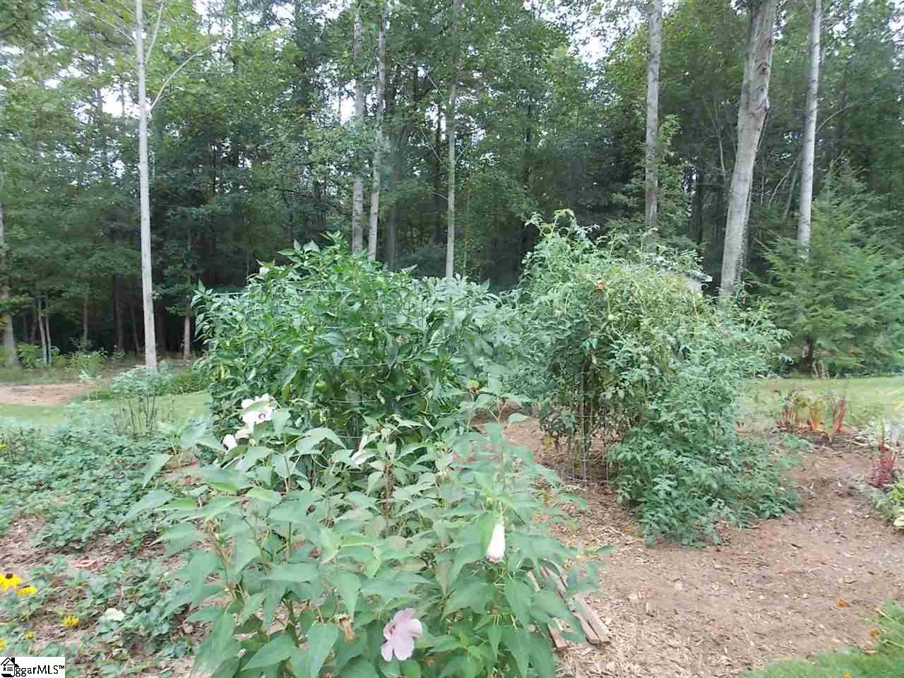 283 Bowen Road Easley, SC 29640 - Photo 5 of 26