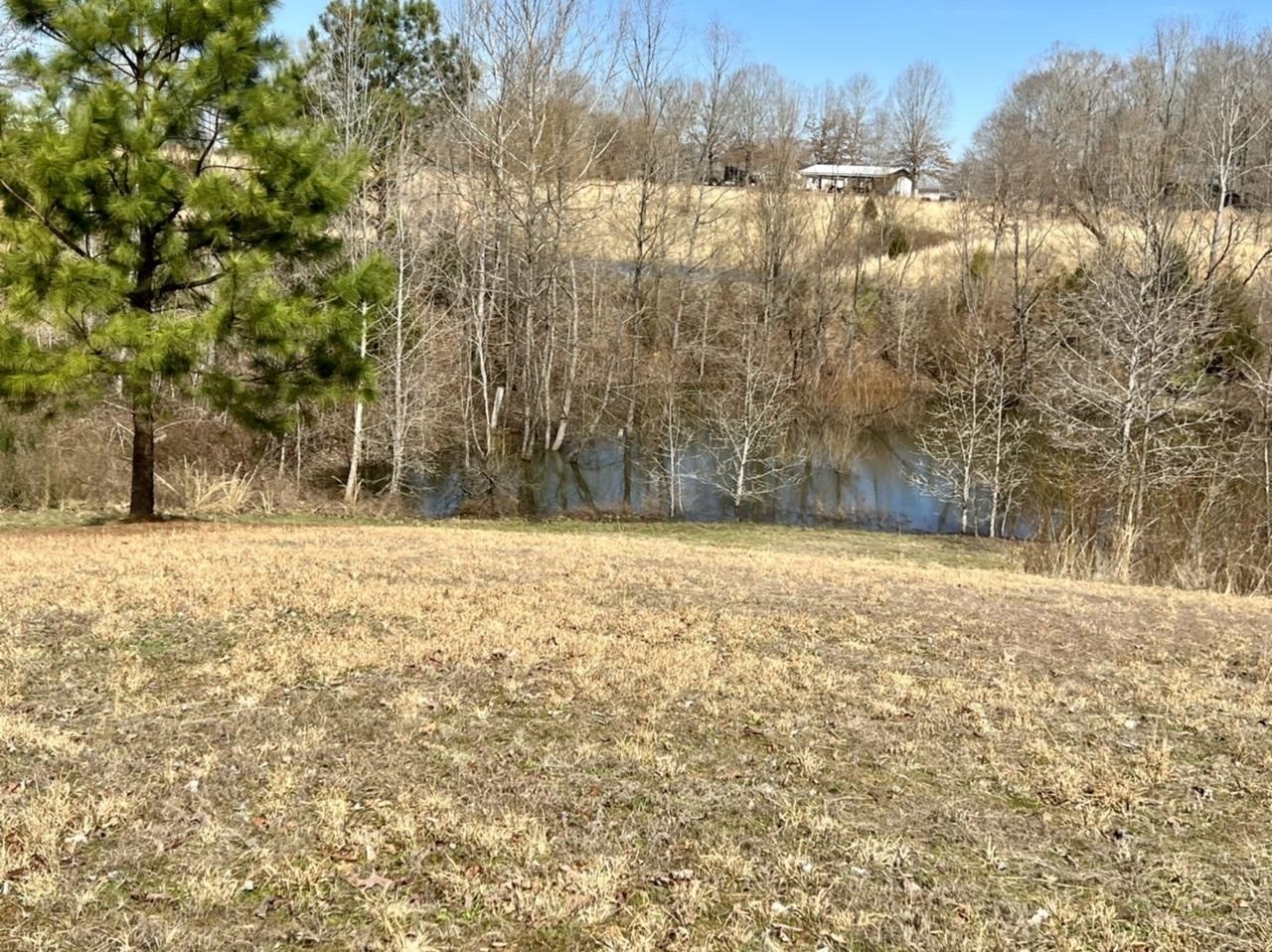 7010 Highway 22 Adamsville, TN 38310 - Photo 2 of 25 Gallery Image 2