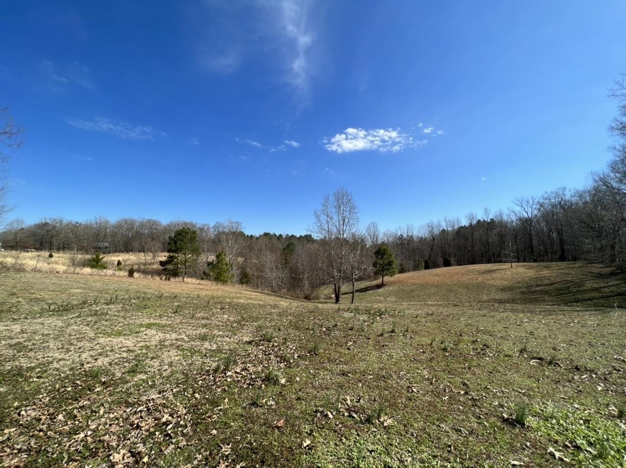 7010 Highway 22 Adamsville, TN 38310 - Photo 7 of 25 Gallery Image 7