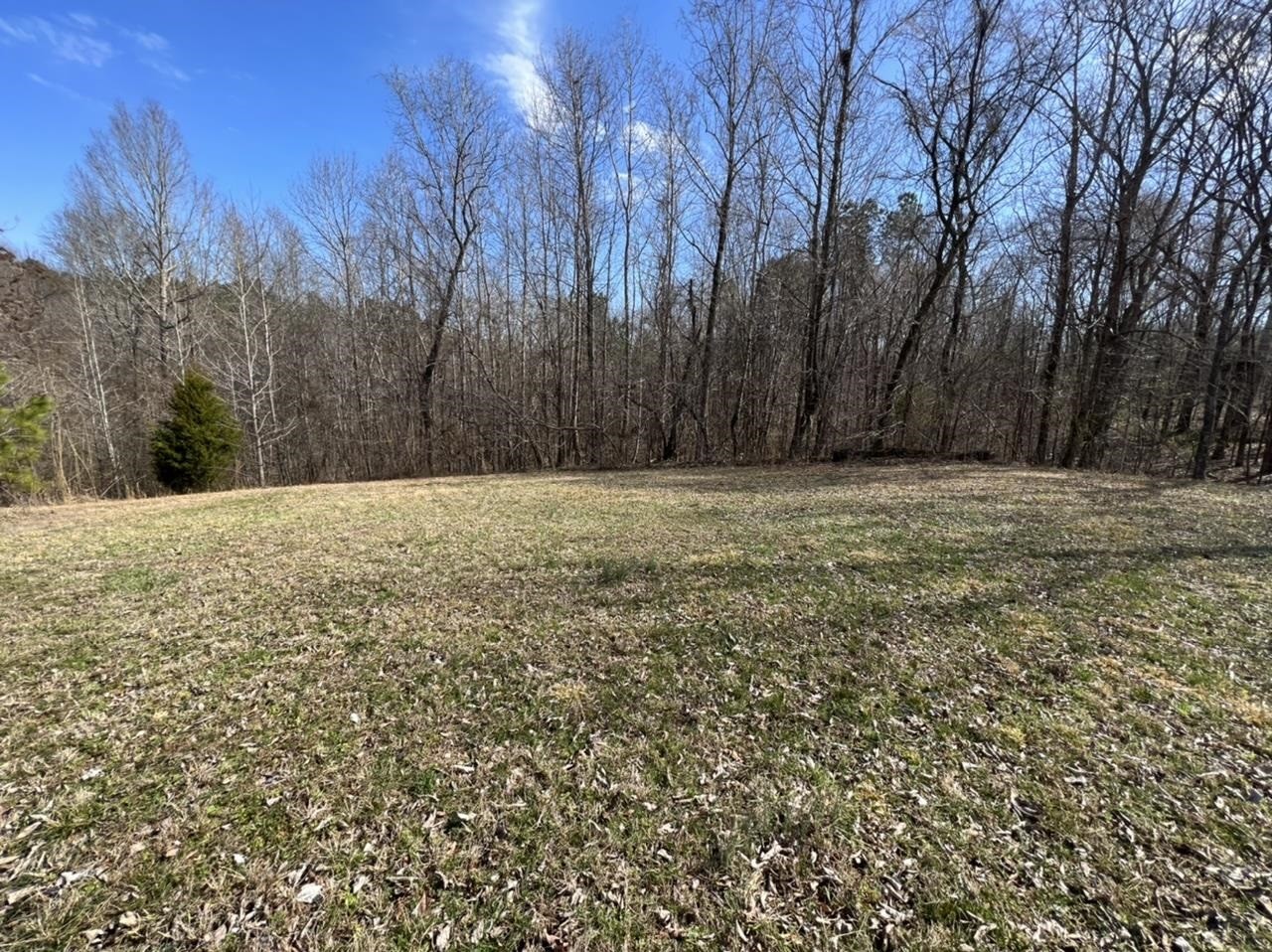 7010 Highway 22 Adamsville, TN 38310 - Photo 8 of 25 Gallery Image 8