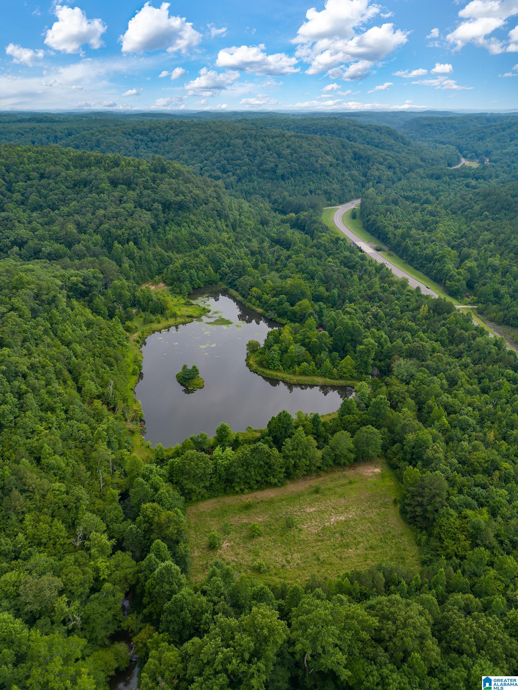 81 Frozen Hollow Road, Unit 32 Carbon Hill, AL 35549 - Photo 36 of 42