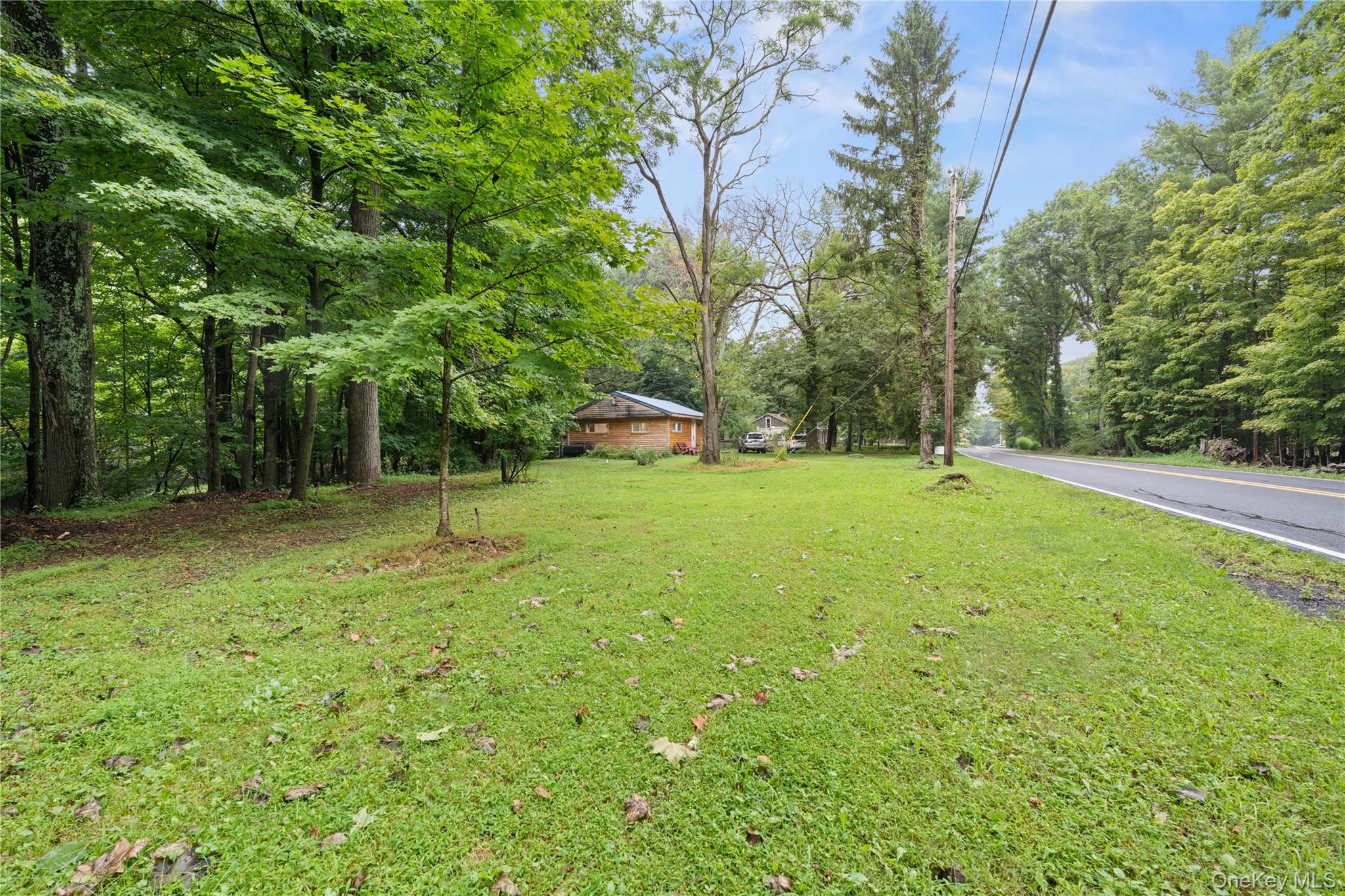 549 Hearts Content Road Cairo, NY 12473 - Photo 25 of 25 Gallery Image 25