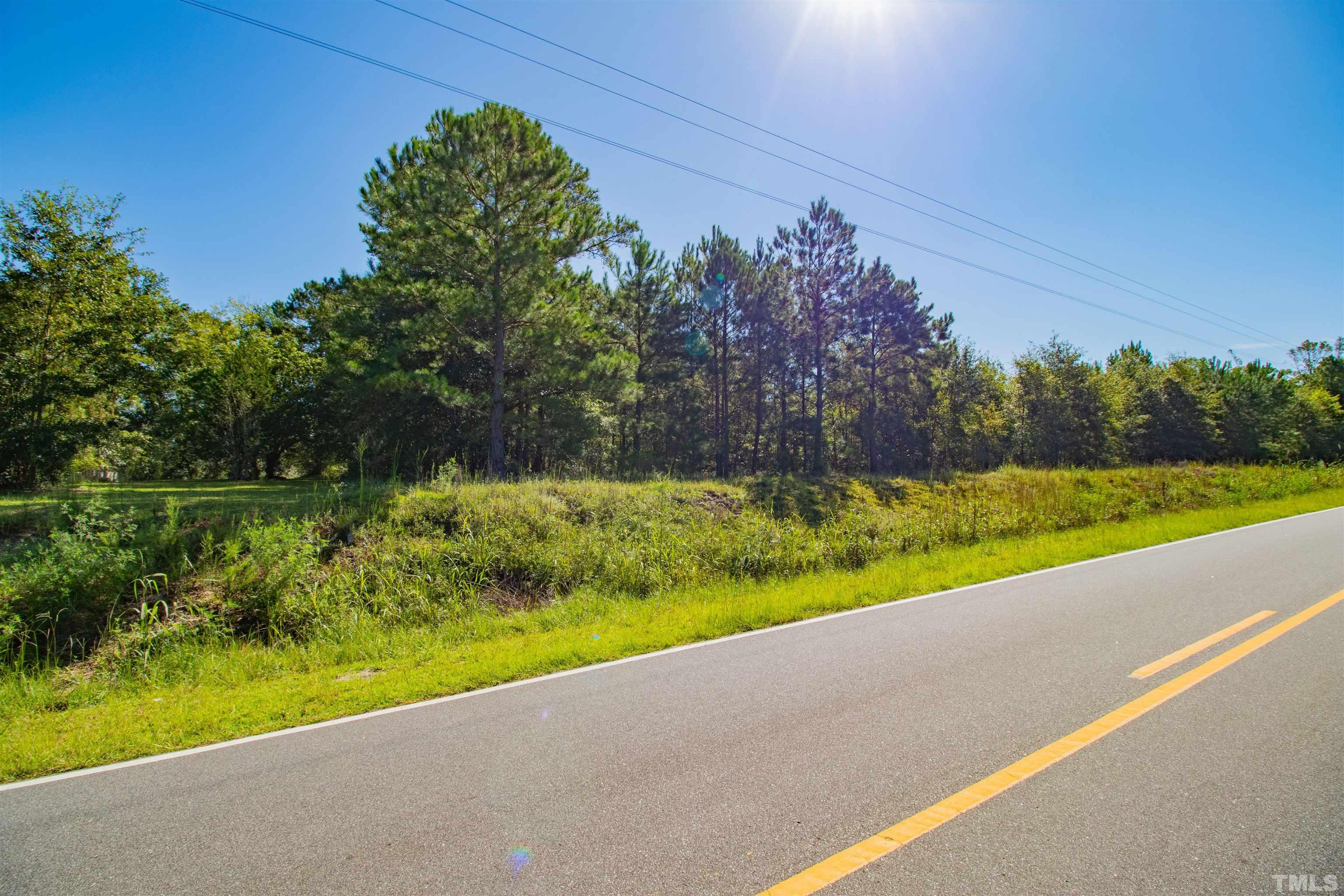 0 Halfway Branch Road Atkinson, NC 28421 - Photo 12 of 19 a view of a yard with potted plants