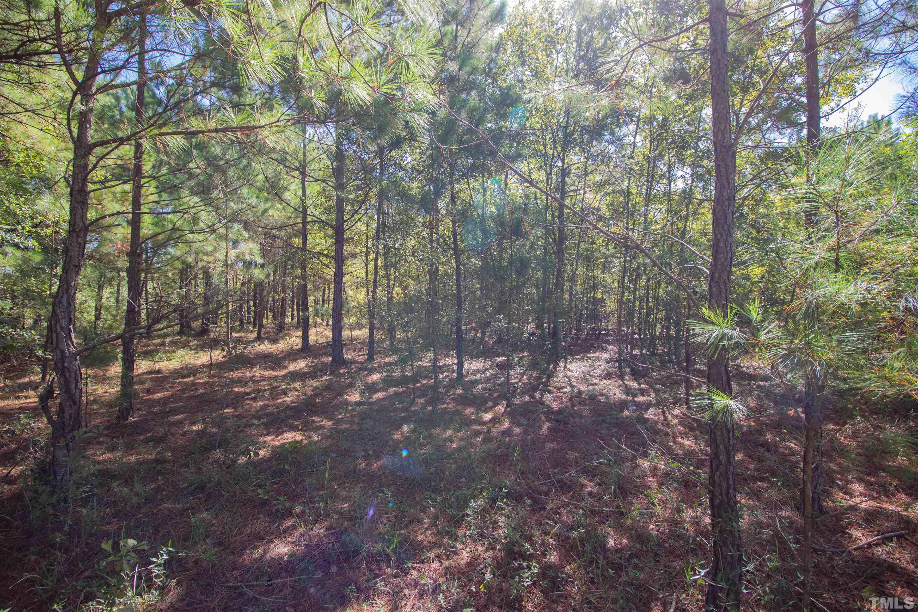 0 Halfway Branch Road Atkinson, NC 28421 - Photo 14 of 19 a view of forest
