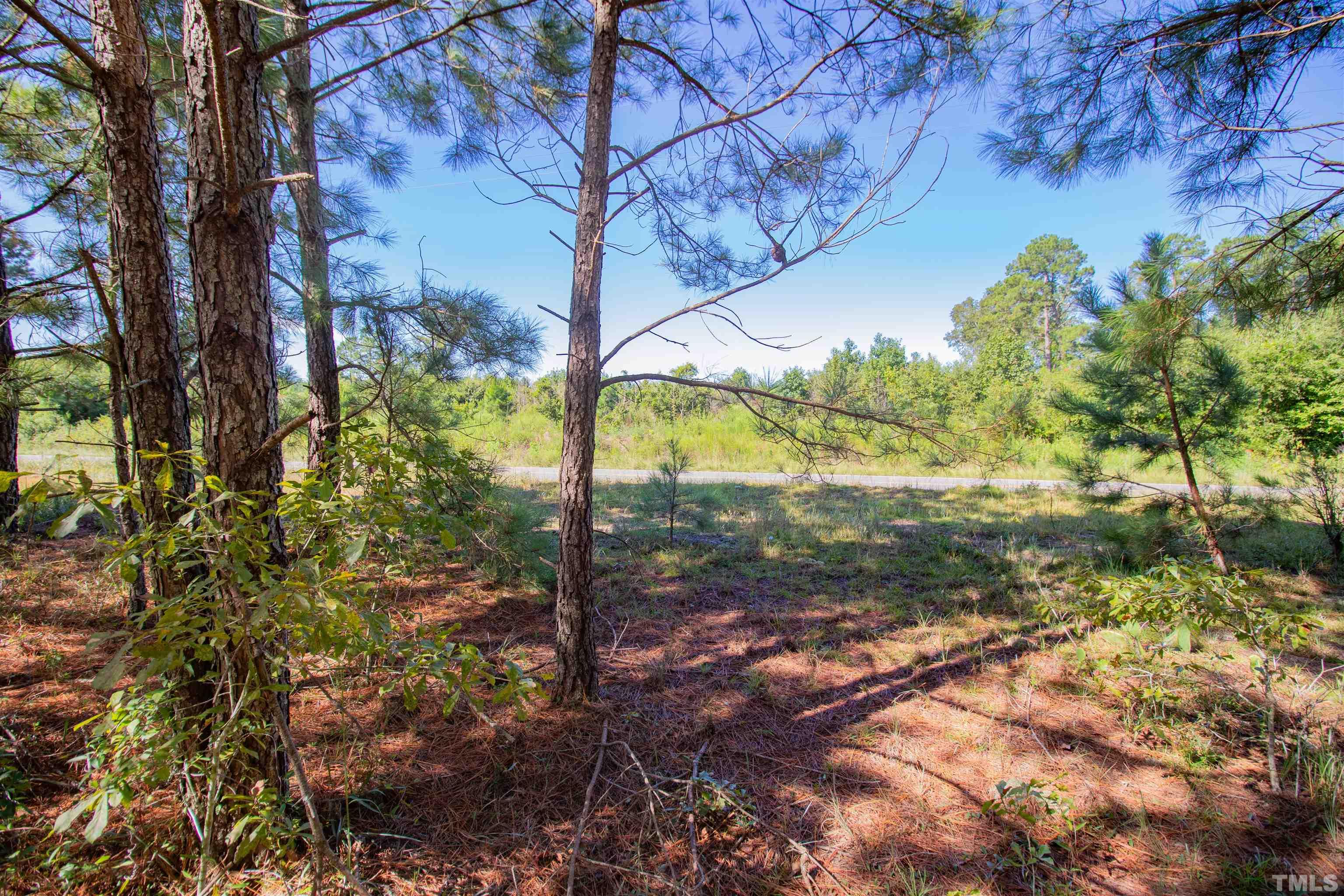 0 Halfway Branch Road Atkinson, NC 28421 - Photo 16 of 19 a view of a yard