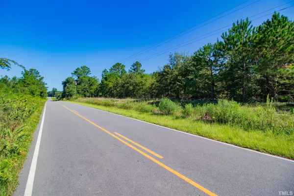a view of a forest with trees in the background