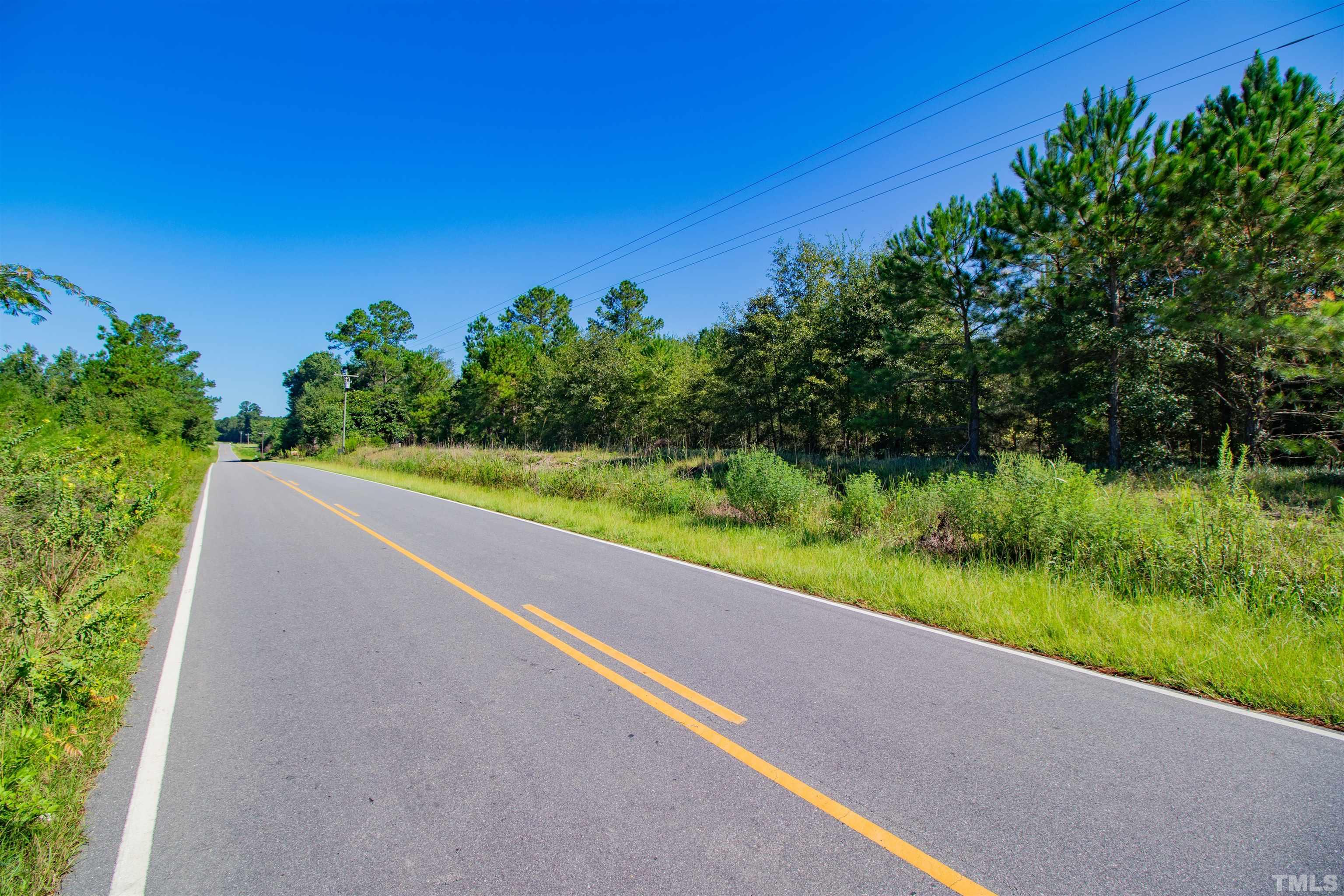 0 Halfway Branch Road Atkinson, NC 28421 - Photo 17 of 19 a view of a garden with an outdoor space
