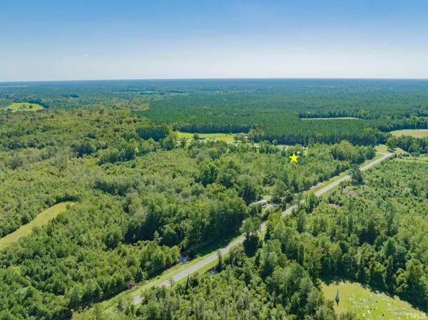 an aerial view of residential houses with outdoor space and trees