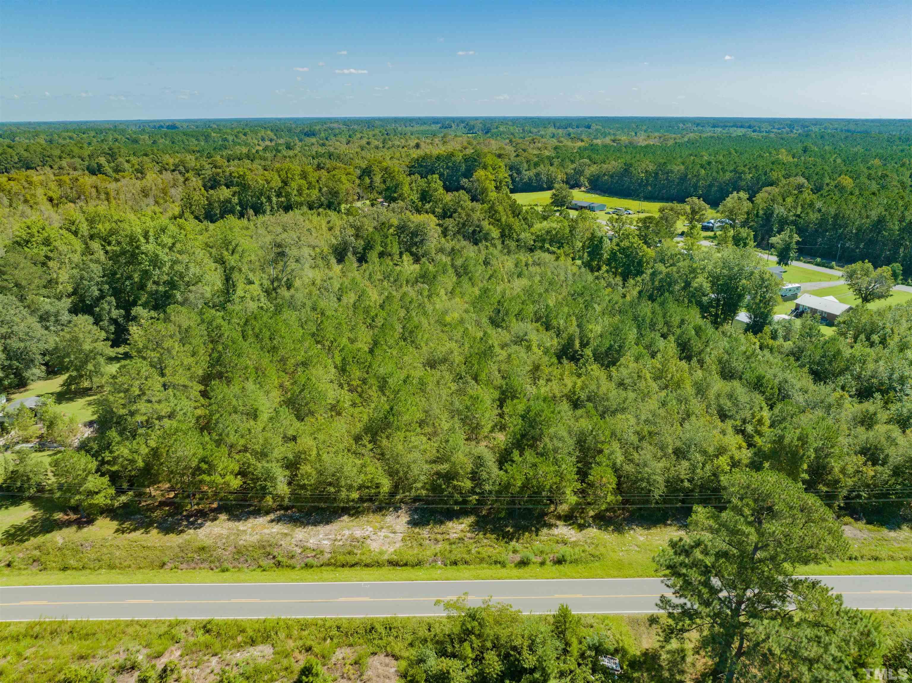 0 Halfway Branch Road Atkinson, NC 28421 - Photo 4 of 19 a view of a lush green field
