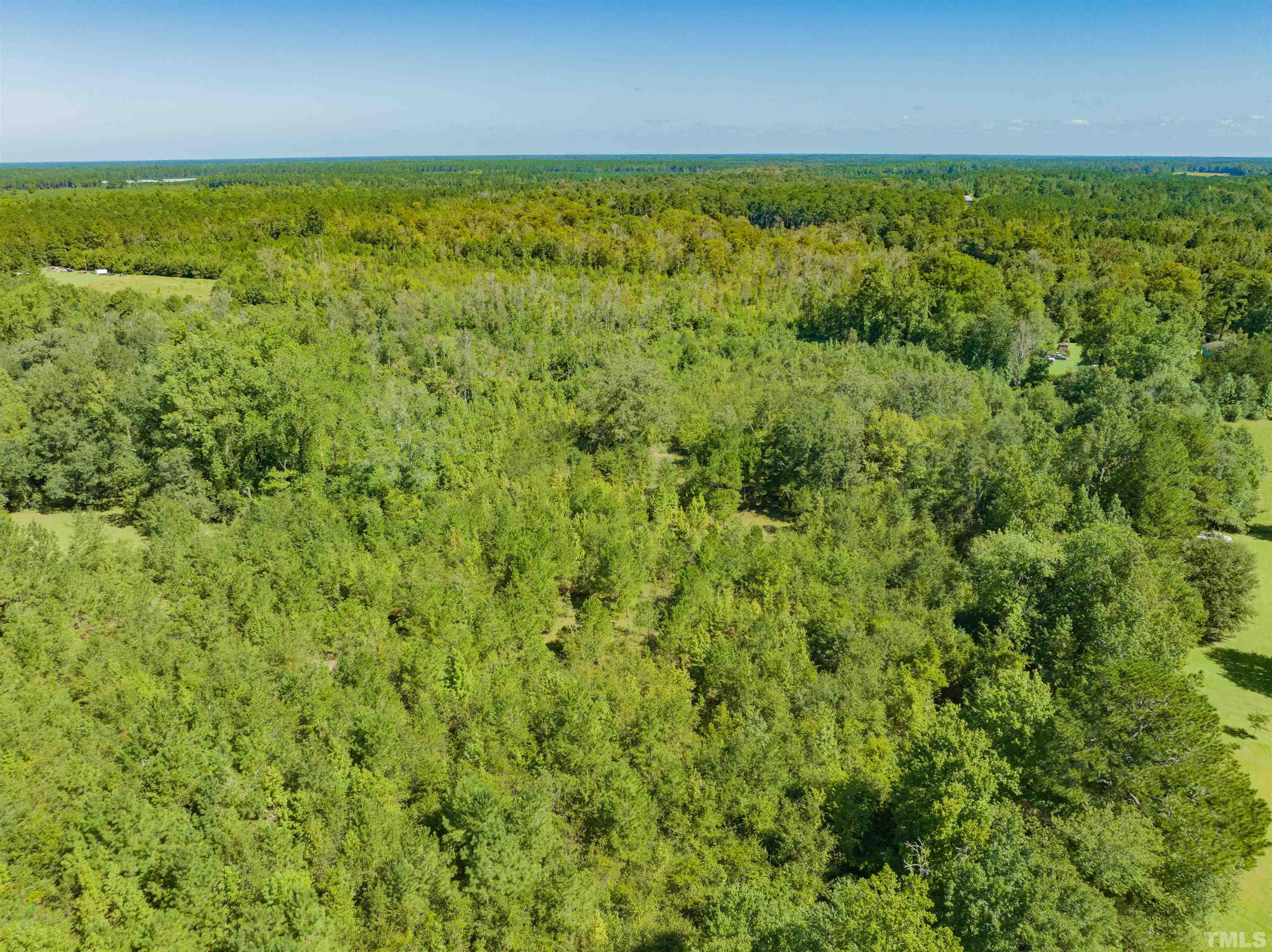 0 Halfway Branch Road Atkinson, NC 28421 - Photo 7 of 19 a view of a field with an outdoor space