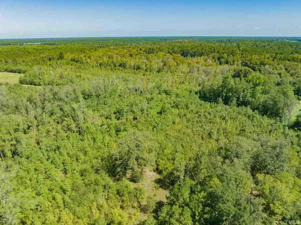 a view of a green field with lots of green space