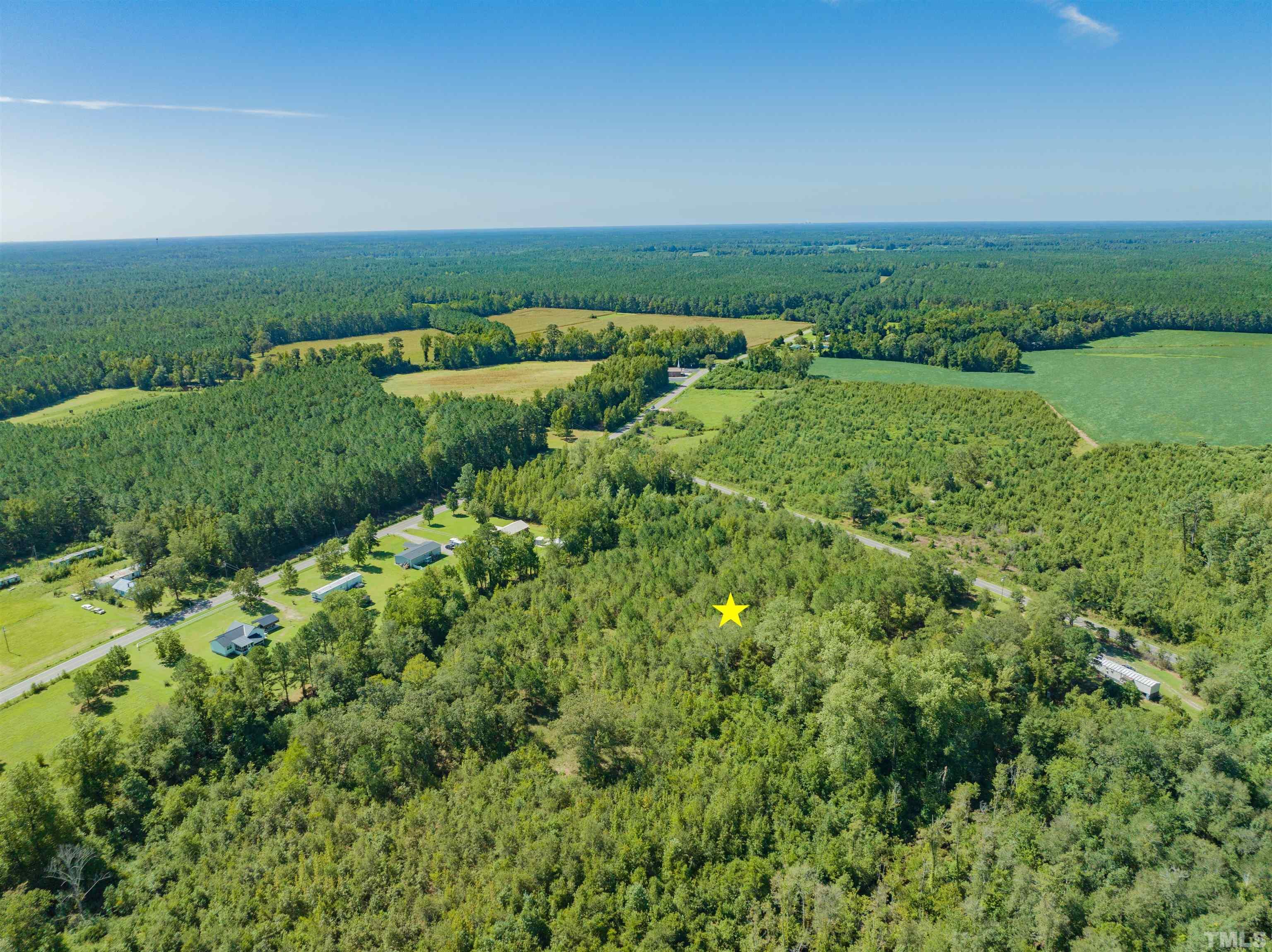 0 Halfway Branch Road Atkinson, NC 28421 - Photo 9 of 19 a view of a green field with lots of green space