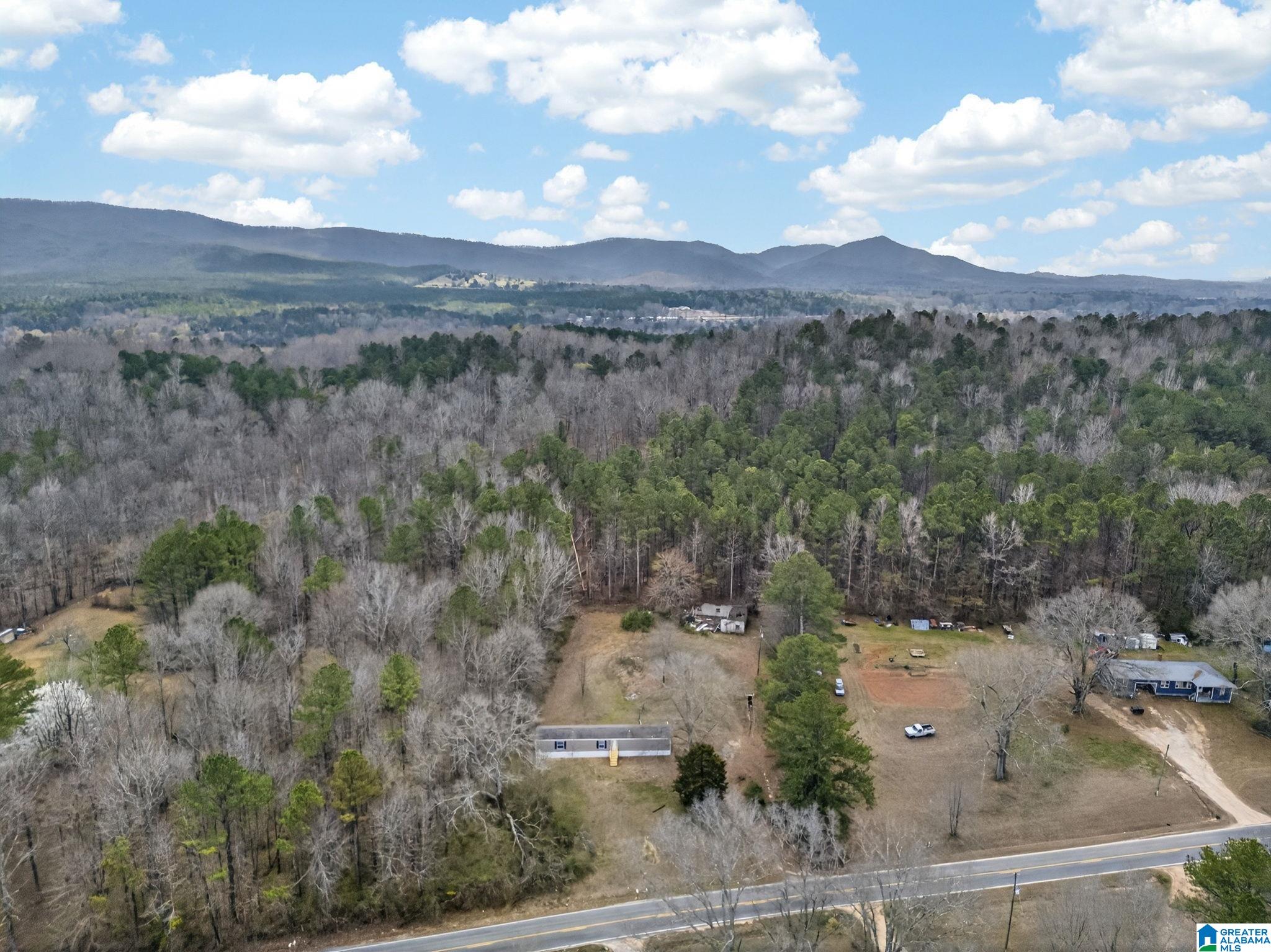 1090 Possum Trot Road Piedmont, AL 36272 - Photo 27 of 28