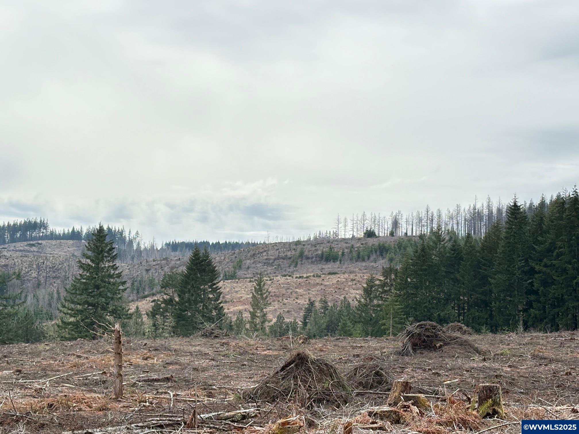 0 South Hardy Road Molalla, OR 97038 - Photo 25 of 26