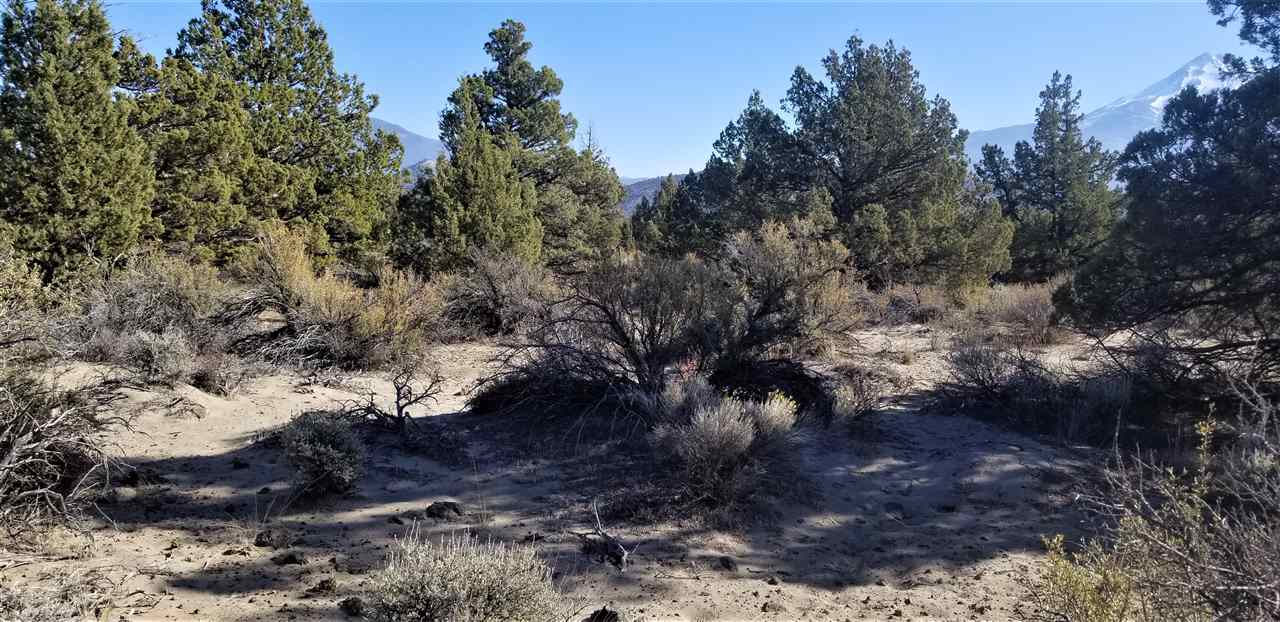 Lot 4 Lost Mine Road Montague, CA 96064 - Photo 6 of 8 Gallery Image 6
