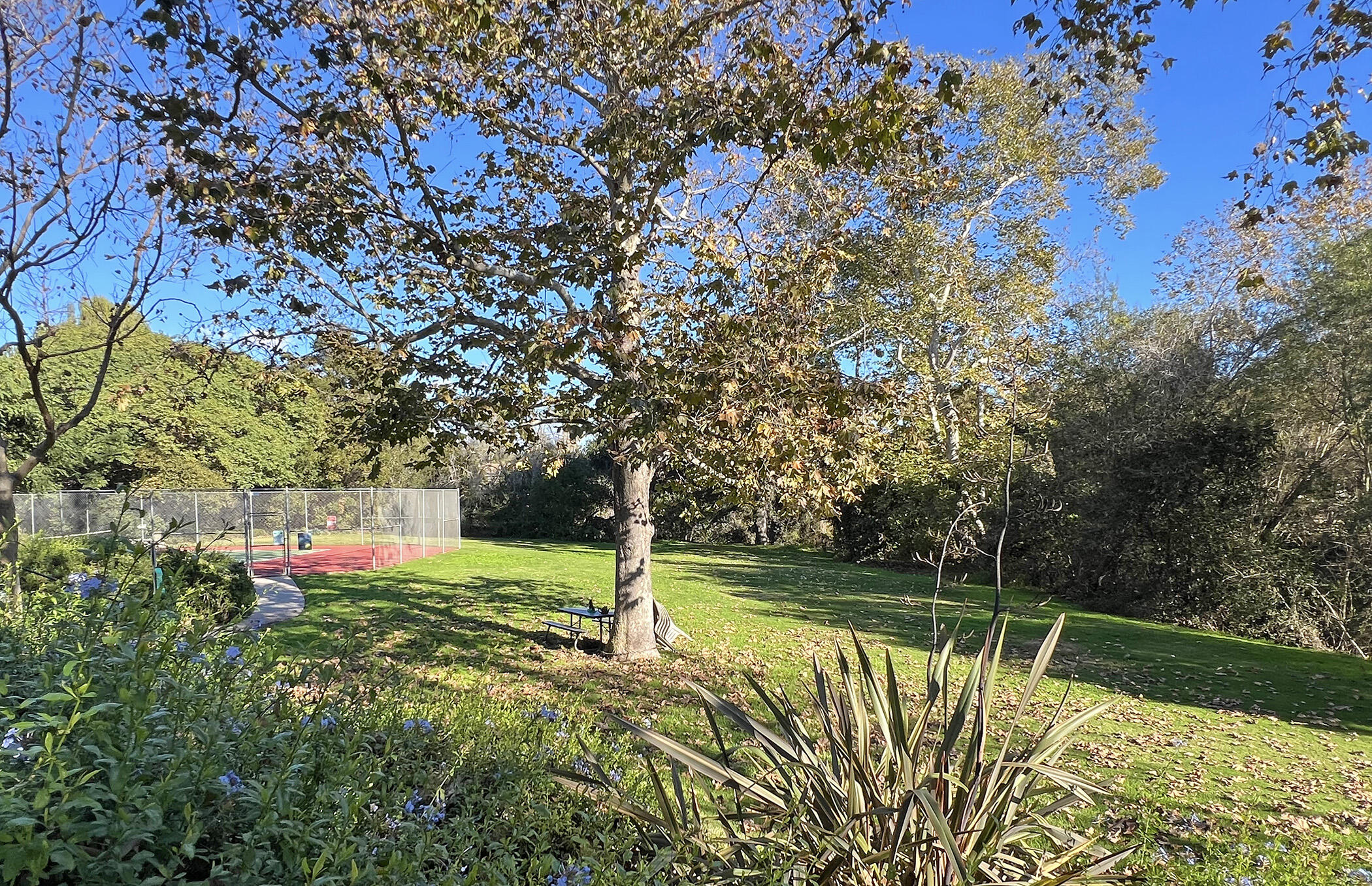 5290 Overpass Road, Unit 4 Goleta, CA 93111 - Photo 17 of 21 a view of swimming pool from a yard