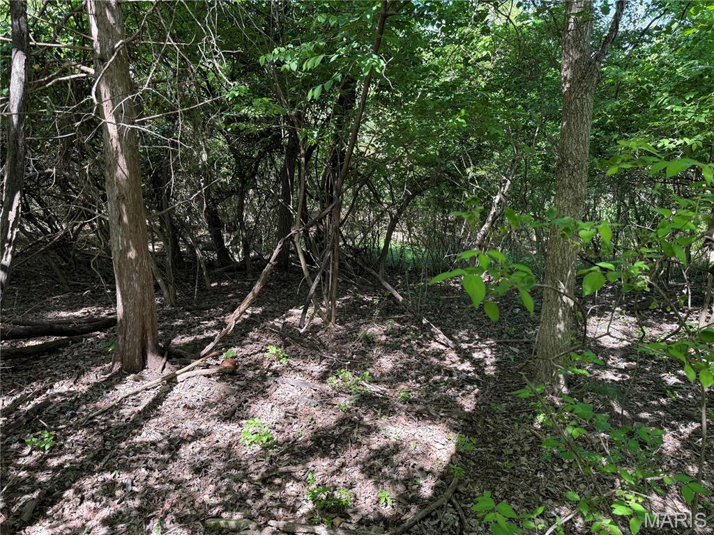 17052 Manchester Road Wildwood, MO 63040 - Photo 11 of 15