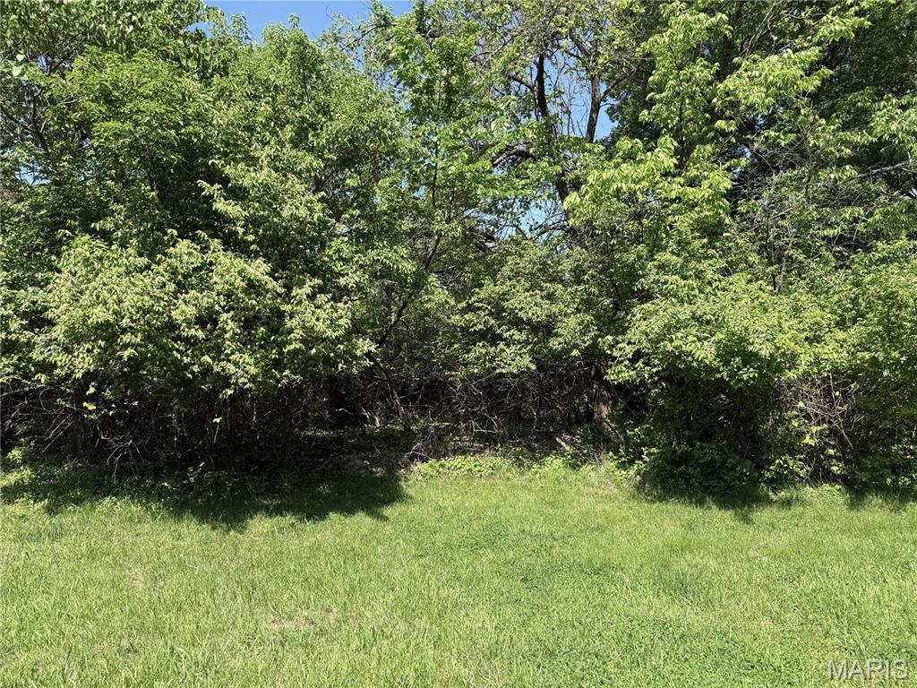 17052 Manchester Road Wildwood, MO 63040 - Photo 12 of 15