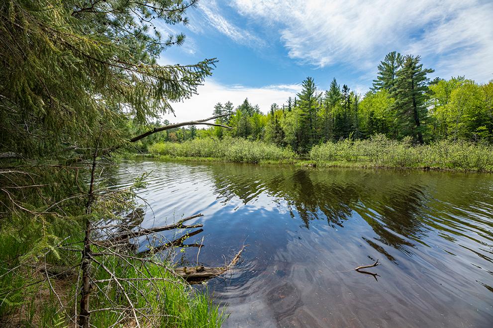 On Dam Road, Unit 85 ACRES Eagle River, WI 54521 - Photo 11 of 41 Gallery Image 11