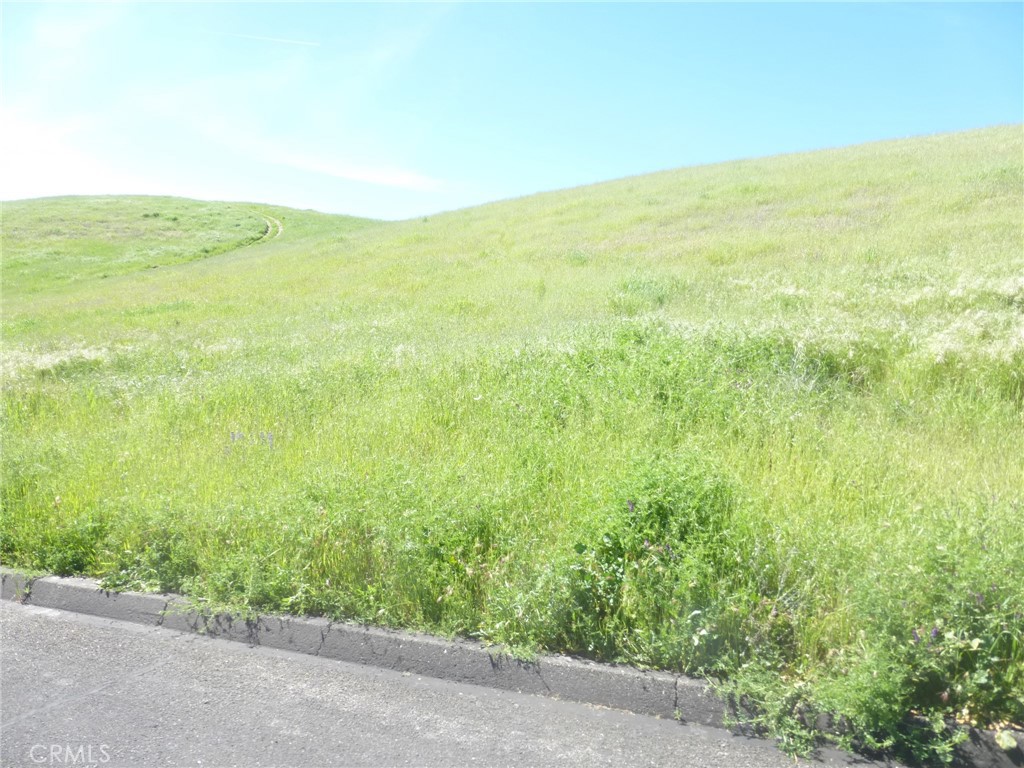 0 Douglas Road San Miguel, CA 93451 - Photo 21 of 42