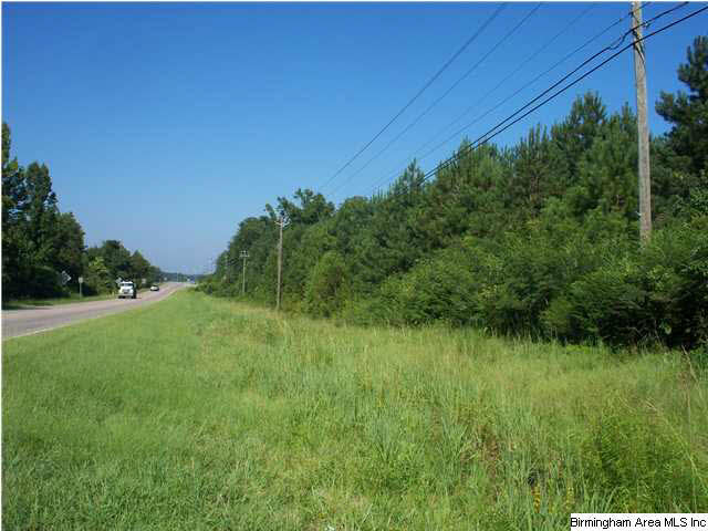 0 Highway 11 Vance Al Vance, AL 35490 - Photo 3 of 8