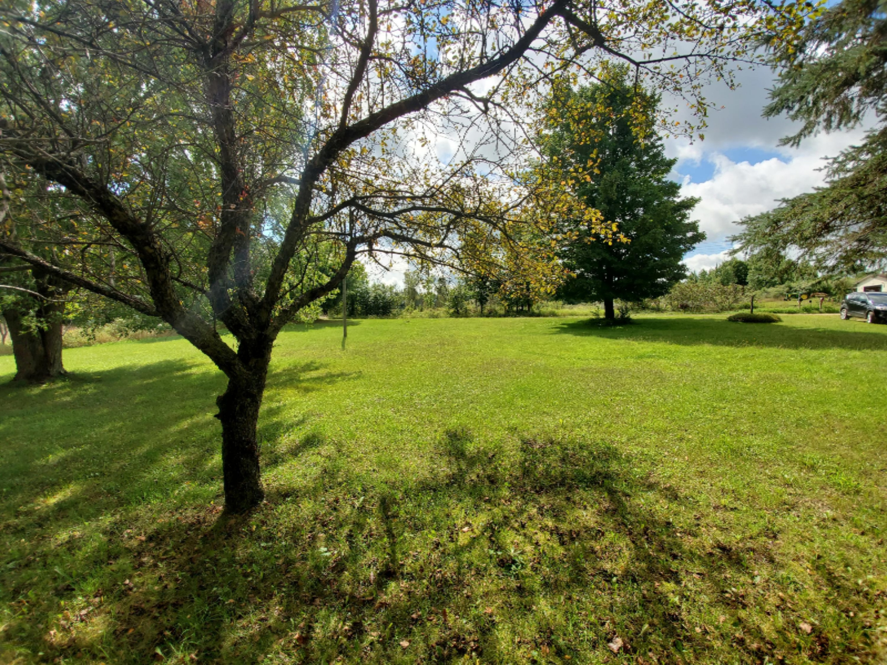 23316 1 Mile Road Reed City, MI 49677 - Photo 5 of 33 20190827_115607 - Copy - Copy - Copy